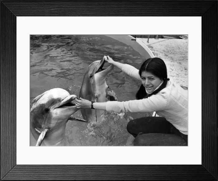 Framed Print : West Midland Safari and Leisure Park, located in Bewdley, Worcestershire, England Framed Print : West Midland Safari and Leisure Park, located in Bewdley, Worcestershire, England