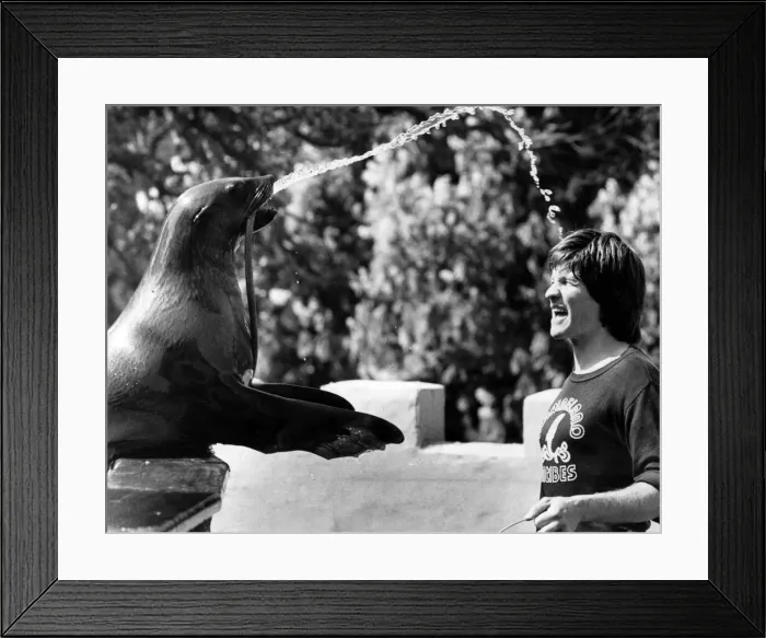 Framed Print : West Midland Safari and Leisure Park, located in Bewdley, Worcestershire, England