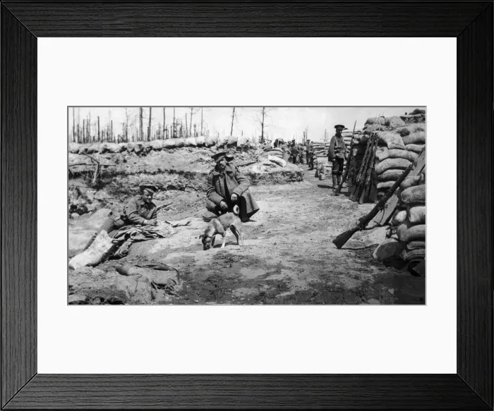 Framed Print : Men of the Duke of Cornwalls Light Infantry in the front line near Ypres with Framed Print : Men of the Duke of Cornwalls Light Infantry in the front line near Ypres with