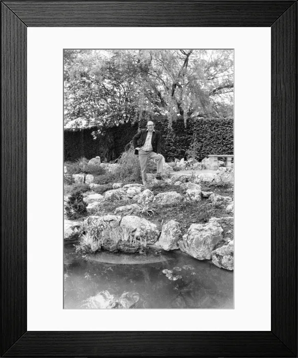 Framed Print : Comedian, Eric Morecambe pictured at home in Harpenden, Hertfordshire, England, May 1976 Framed Print : Comedian, Eric Morecambe pictured at home in Harpenden, Hertfordshire, England, May 1976