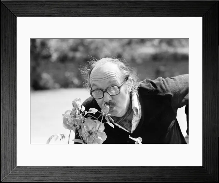 Framed Print : Comedian, Eric Morecambe, pictured at home in Harpenden, Hertfordshire, England Framed Print : Comedian, Eric Morecambe, pictured at home in Harpenden, Hertfordshire, England