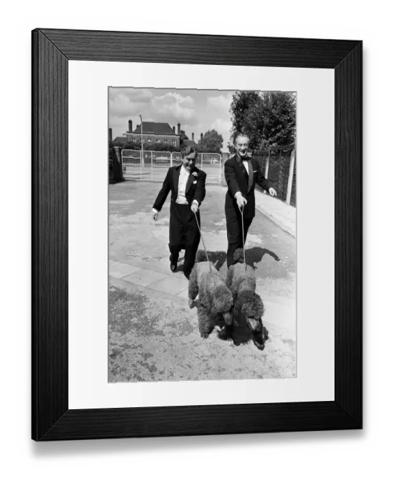 Framed Print : Tony Hancock with George Sanders and dogs. 12th August 1960 Framed Print : Tony Hancock with George Sanders and dogs. 12th August 1960