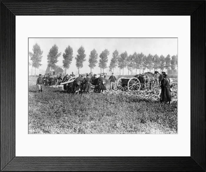 Framed Print : Belgian artillery battery un-limbering guns near Dendermonde circa 5th September 1914 Framed Print : Belgian artillery battery un-limbering guns near Dendermonde circa 5th September 1914