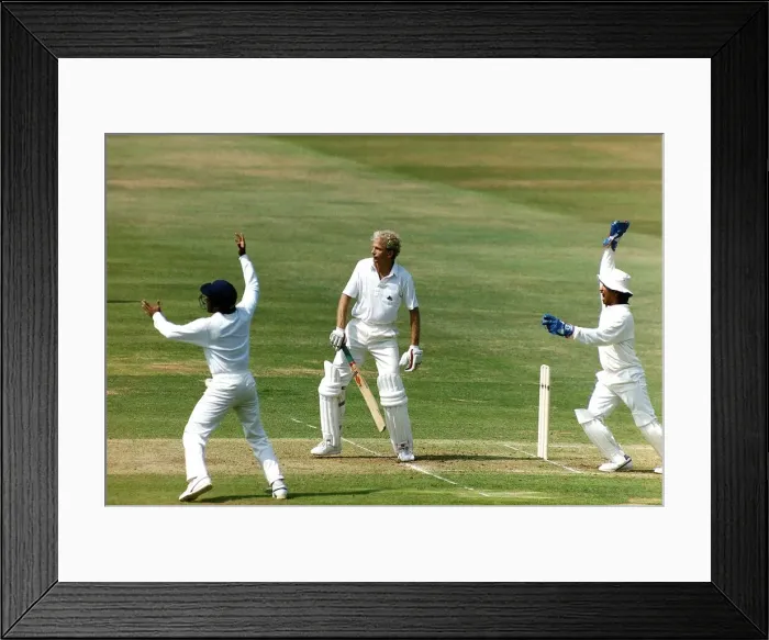 Framed Print : England cricketer David Gower at the crease whilst India launch a big appeal for caught