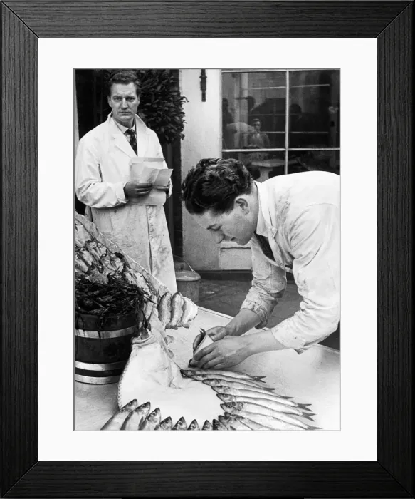 Framed Print : A Fishmonger seen laying out the days fish in appetising arrangements at Shepherds Market Framed Print : A Fishmonger seen laying out the days fish in appetising arrangements at Shepherds Market