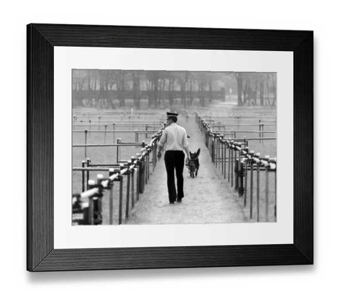 Framed Print : Police dog handler checks specially built enclosure to house vast crowd ahead of Pope