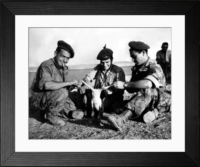 Framed Print : The Suez Crisis war in Egypt, 29th October to 6th November Framed Print : The Suez Crisis war in Egypt, 29th October to 6th November