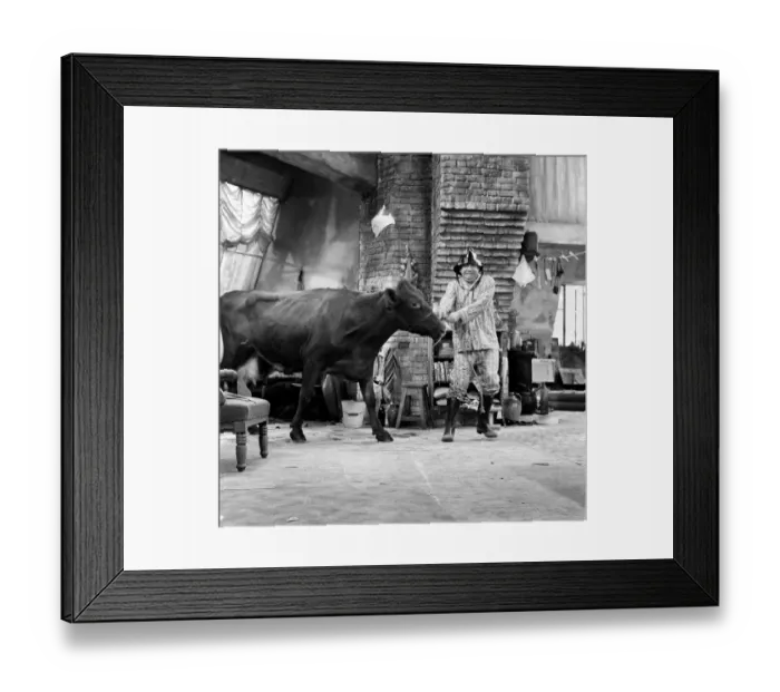 Framed Print : Tony Hancock with a cow on the set of The Rebel at Elstree. 2nd August 1960 Framed Print : Tony Hancock with a cow on the set of The Rebel at Elstree. 2nd August 1960