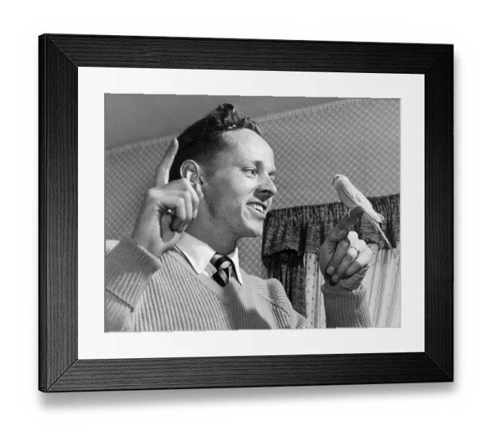 Framed Print : Birmingham City footballer Gordon Astall with a bird on his finger. 26th April 1958