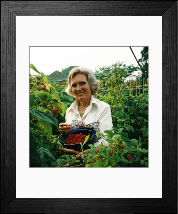 Framed Print : Mary Berry, British food writer and television presenter. October 1982