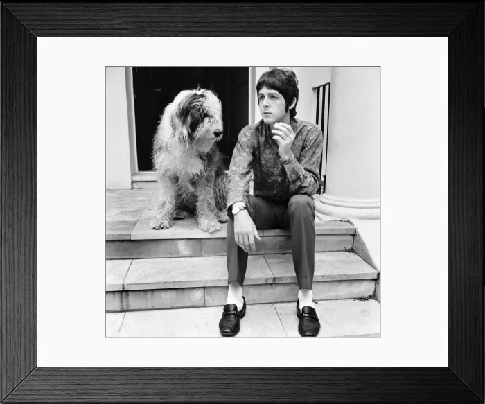 Framed Print : Paul McCartney at his St Johns Wood house on his 25th birthday 18 June 1967 Framed Print : Paul McCartney at his St Johns Wood house on his 25th birthday 18 June 1967