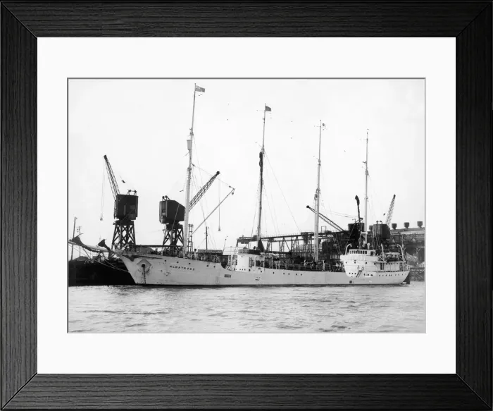 Framed Print : The Swedish four masted sailing schooner, Albatross seen here at the Deepwater Wharf Framed Print : The Swedish four masted sailing schooner, Albatross seen here at the Deepwater Wharf
