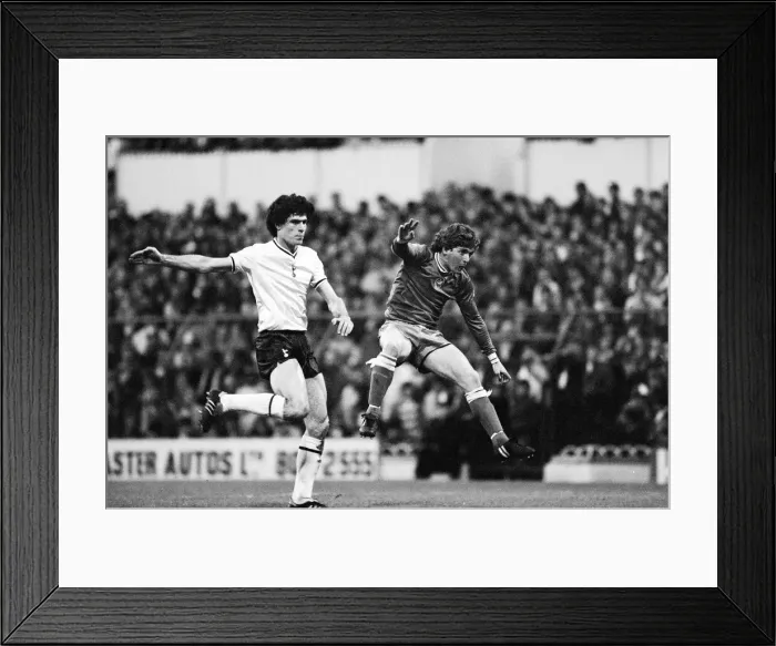 Framed Print : English League Division One match at White Hart Lane. Tottenham Hotspur v Swansea Framed Print : English League Division One match at White Hart Lane. Tottenham Hotspur v Swansea