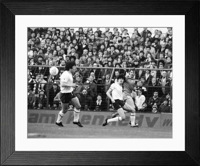 Framed Print : English League Division One match at White Hart Lane. Tottenham Hotspur v Swansea Framed Print : English League Division One match at White Hart Lane. Tottenham Hotspur v Swansea