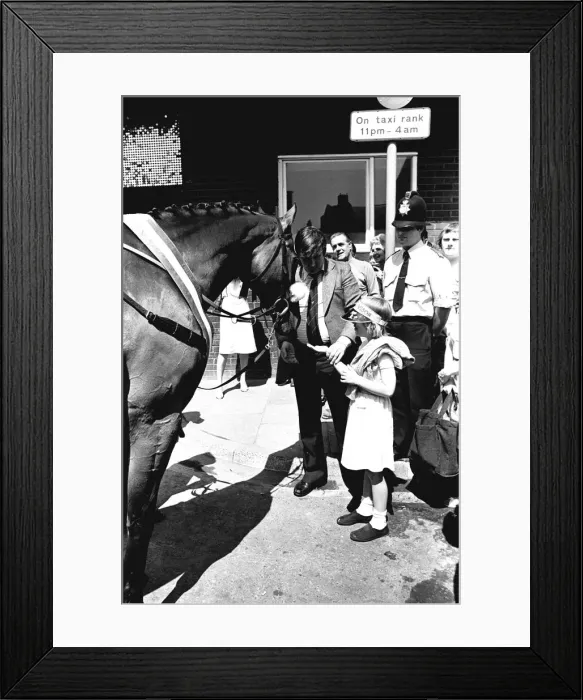 Framed Print : Three times Grand National winner Red Rum arrives for opening the Rum Runner nightclub in Framed Print : Three times Grand National winner Red Rum arrives for opening the Rum Runner nightclub in