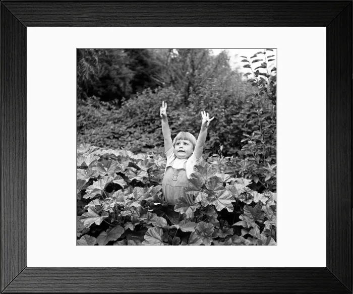 Framed Print : Siblings, Helen (3) and Paul Burrows (9) from Waterloo, London Framed Print : Siblings, Helen (3) and Paul Burrows (9) from Waterloo, London