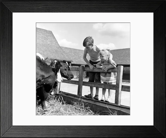 Framed Print : Siblings, Helen (3) and Paul Burrows (9) from Waterloo, London Framed Print : Siblings, Helen (3) and Paul Burrows (9) from Waterloo, London