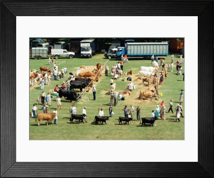 Framed Print : Cleveland County Show at Stewarts Park, a general scene from the show. 23rd July 1994 Framed Print : Cleveland County Show at Stewarts Park, a general scene from the show. 23rd July 1994