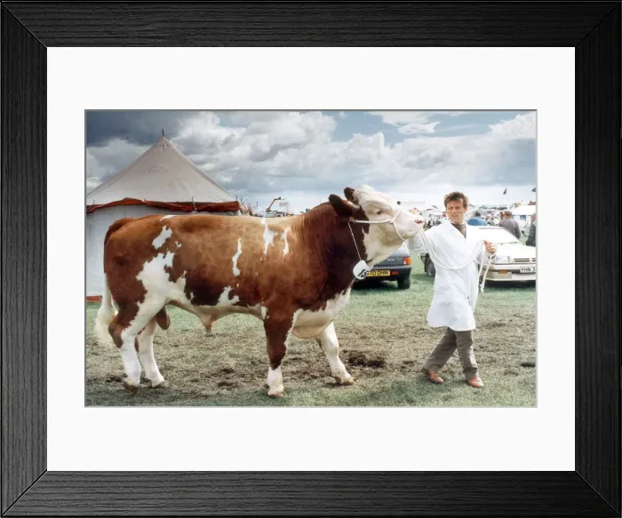 Framed Print : North Yorkshire agricultural show. Peter Goldsbrough, of Yafforth Lodge, Northallerton Framed Print : North Yorkshire agricultural show. Peter Goldsbrough, of Yafforth Lodge, Northallerton