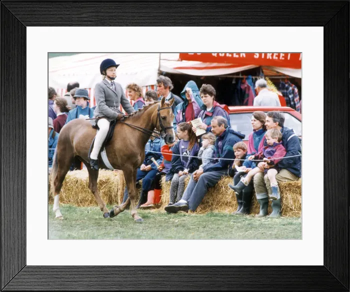 Framed Print : Visitors at the show ring during Danby agricultural show Framed Print : Visitors at the show ring during Danby agricultural show