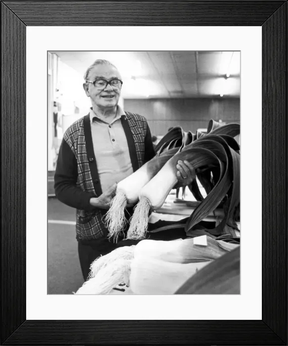 Framed Print : 38th annual Billingham Agricultural Show. Committee member Jim Doherty shows one of Framed Print : 38th annual Billingham Agricultural Show. Committee member Jim Doherty shows one of