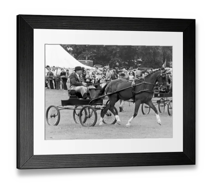 Framed Print : Cleveland Agricultural Show, Mr R Corner of Trimdon village taking part in the driving
