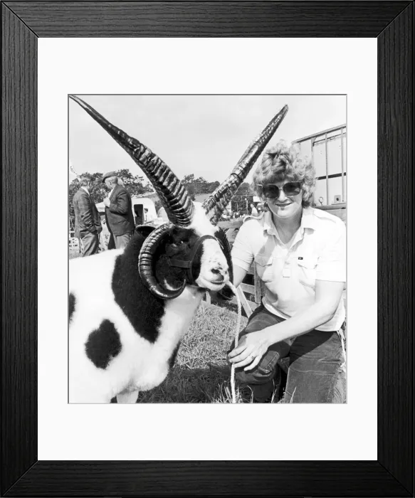 Framed Print : Danby agricultural show, Pat Dodsworth of Helmsley, with Tom Framed Print : Danby agricultural show, Pat Dodsworth of Helmsley, with Tom