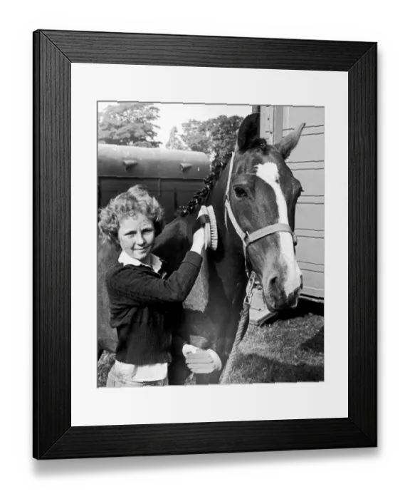 Framed Print : 14 year old Julie Simpson brushing a horse at Hutton Rudby agricultural show Framed Print : 14 year old Julie Simpson brushing a horse at Hutton Rudby agricultural show