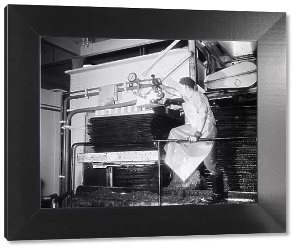 The apple press at the Bulmers Cider Mill in Old Plough Lane, Hereford. Circa 1959