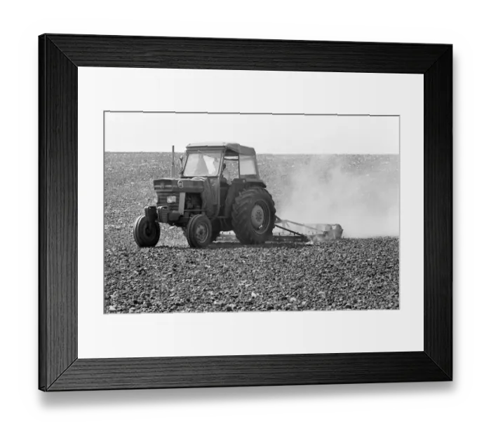 Framed Print : Farmer Tony Mence with the dried up problems he faces on his land at Pershore during Framed Print : Farmer Tony Mence with the dried up problems he faces on his land at Pershore during