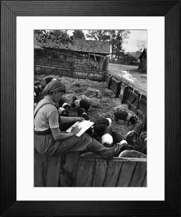 Framed Print : Joan Taylor ex artmistress still finds time to practice new art