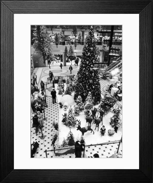 Framed Print : The giant Christmas tree and display in Halle Square, in the The Arndale Centre Framed Print : The giant Christmas tree and display in Halle Square, in the The Arndale Centre