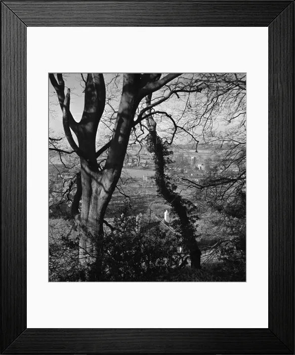 Framed Print : Aldbury Village in Hertfordshire seen through the trees weather seasons winter Outdoors Framed Print : Aldbury Village in Hertfordshire seen through the trees weather seasons winter Outdoors