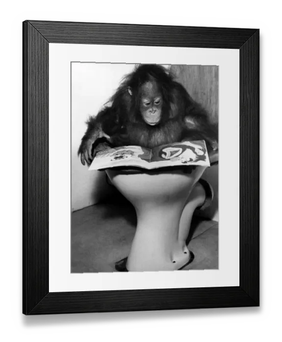 Framed Print : A picture from a series of humurous novelty images taken by Sunday People photographer Framed Print : A picture from a series of humurous novelty images taken by Sunday People photographer