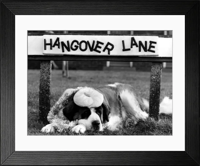 Framed Print : A picture from a series of humurous novelty images taken by Sunday People photographer Framed Print : A picture from a series of humurous novelty images taken by Sunday People photographer