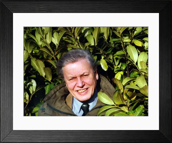 Framed Print : Broadcaster David Attenborough at the BBC in Fenham, Newcastle on 3rd February 1995