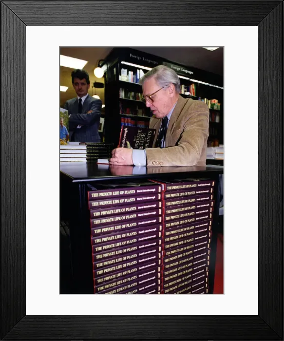 Framed Print : Television presenter and broadcaster David Attenborough signing books at Waterstones in Framed Print : Television presenter and broadcaster David Attenborough signing books at Waterstones in