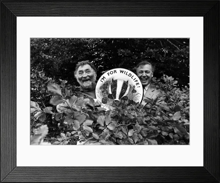 Framed Print : The two Davids, Bellamy and Attenborough, at Lumley Castle to launch the Durham Wildlife Framed Print : The two Davids, Bellamy and Attenborough, at Lumley Castle to launch the Durham Wildlife