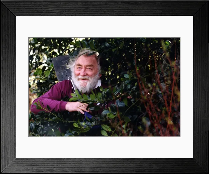 Framed Print : Gwappeling in the undergwof... botanist and parliamentary candidate David Bellamy