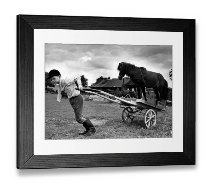 Framed Print : A picture from a series of humurous novelty images taken by Sunday People photographer Framed Print : A picture from a series of humurous novelty images taken by Sunday People photographer