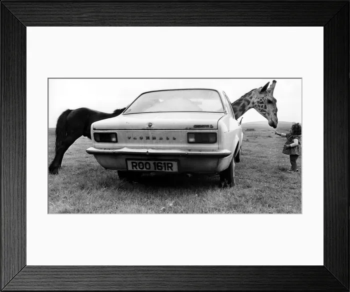 Framed Print : A picture from a series of humurous novelty images taken by Sunday People photographer