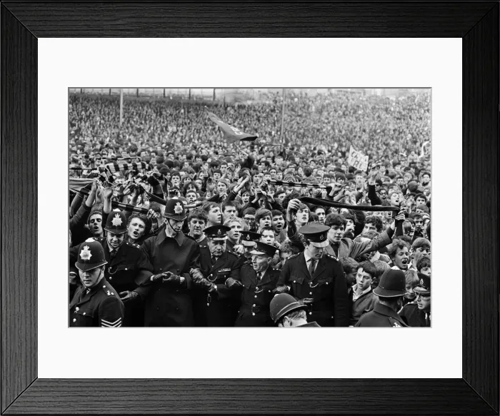 Framed Print : Crystal Palace are promoted to the First Division for the first time in their history Framed Print : Crystal Palace are promoted to the First Division for the first time in their history