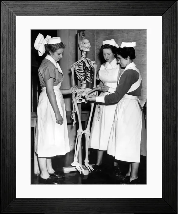 Framed Print : At the end of their training they will be introduced to ward duty Framed Print : At the end of their training they will be introduced to ward duty