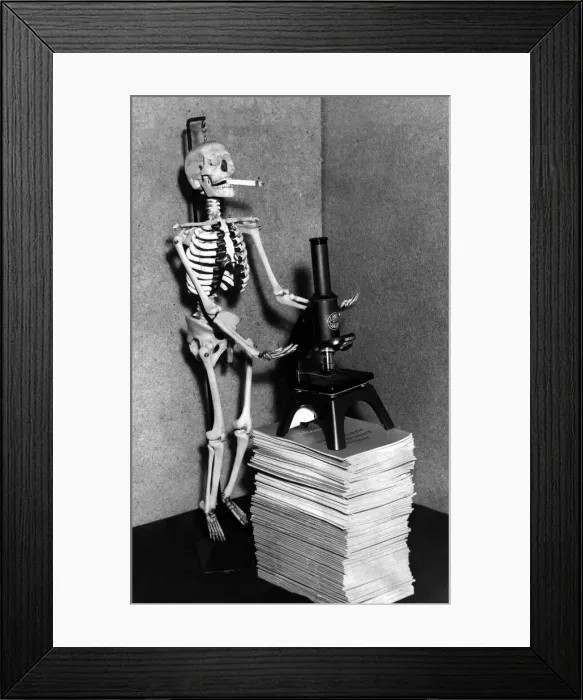Framed Print : Schoolboys will soon be getting to know George, the skeleton, in biology lessons Framed Print : Schoolboys will soon be getting to know George, the skeleton, in biology lessons