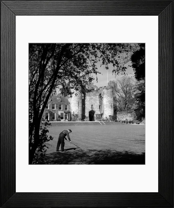 Framed Print : A worker cleaning the grounds outside Tonbridge Castle in Kent May 1952 Framed Print : A worker cleaning the grounds outside Tonbridge Castle in Kent May 1952
