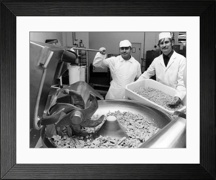 Framed Print : ICI, Billingham. Chicken production, with John Harvey (left Framed Print : ICI, Billingham. Chicken production, with John Harvey (left