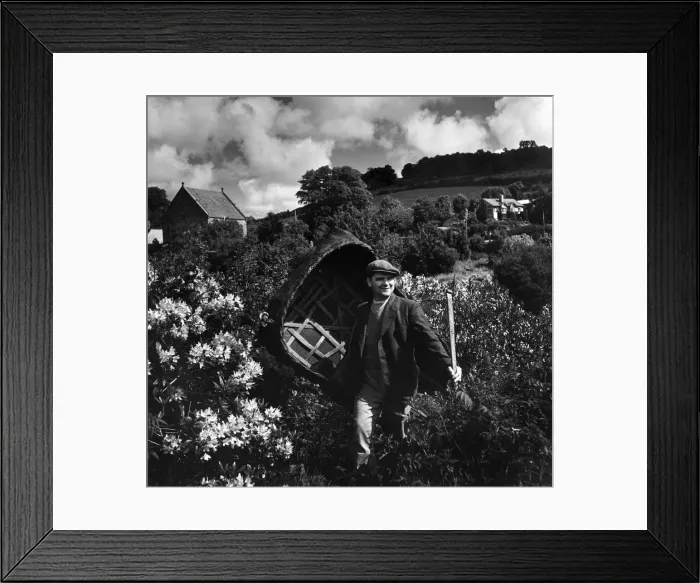 Framed Print : William Jones off fishing for salmon with his coracle. Following a pattern evolved over Framed Print : William Jones off fishing for salmon with his coracle. Following a pattern evolved over