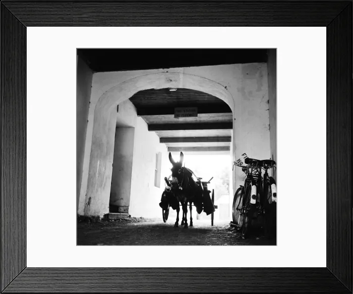 Framed Print : Donkey and cart waiting outside the Glencolumbkille fire station in County Donegal 7th Framed Print : Donkey and cart waiting outside the Glencolumbkille fire station in County Donegal 7th