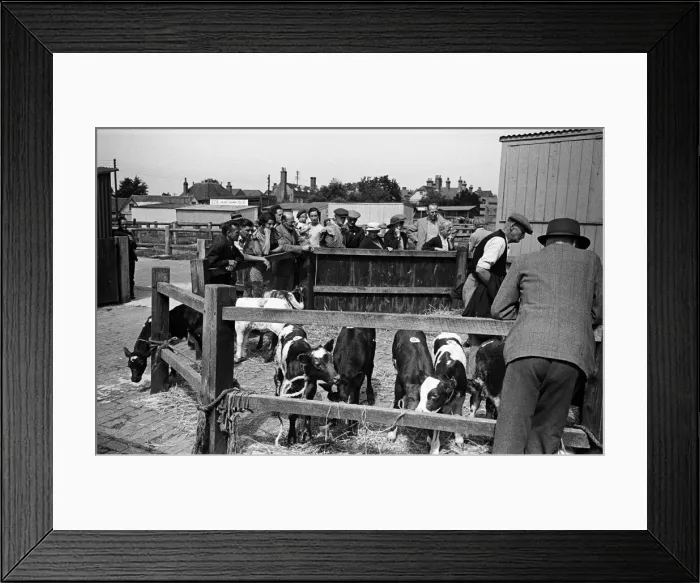 Framed Print : Crowds gather at Hailsham Market, Sussex. Circa 1945 Framed Print : Crowds gather at Hailsham Market, Sussex. Circa 1945