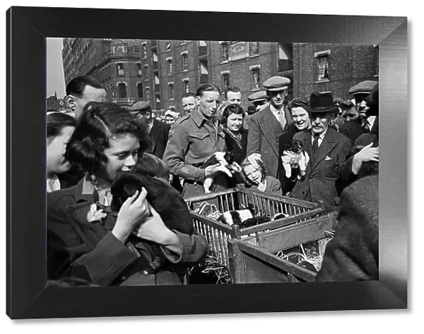 Shoppers visit at a pet market in Bethnal Green, East London. 20th May 1946